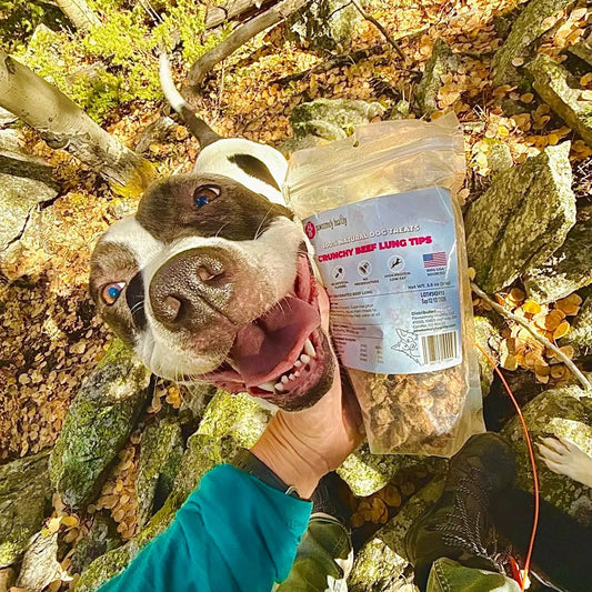 Happy dog with treats bag