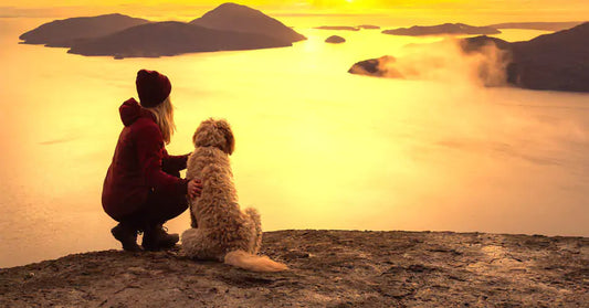 a woman with a dog enjoying the sunset