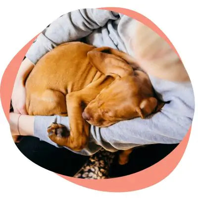 snuggling with dog