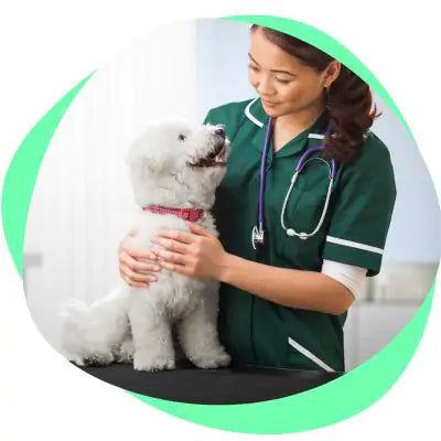 veterinarian with a dog