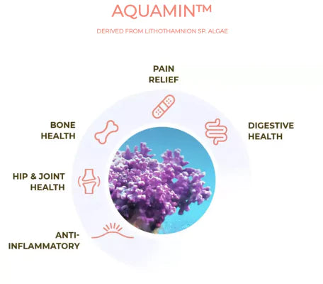 Aquamin is the best natural ingredient for joint health in dogs