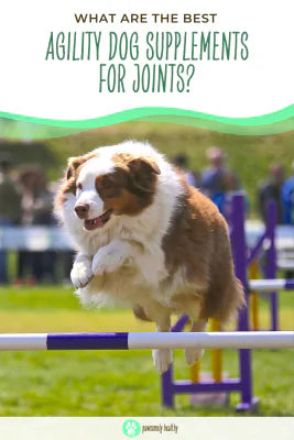 Best agility dog joint supplements pin
