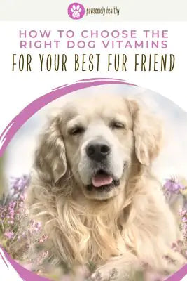 a dog in flowers