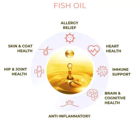 benefits of Omega-3