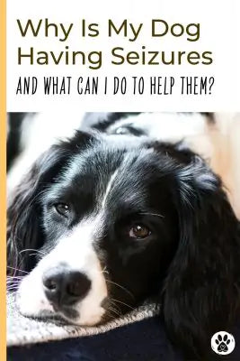 Pin Me - Why is my dog having seizures?