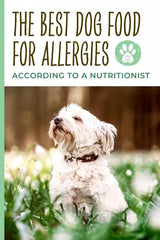 best dog food for allergies pin