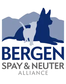 Bergen logo featuring a white cat silhouette standing beside a blue dog silhouette against a light gray background.