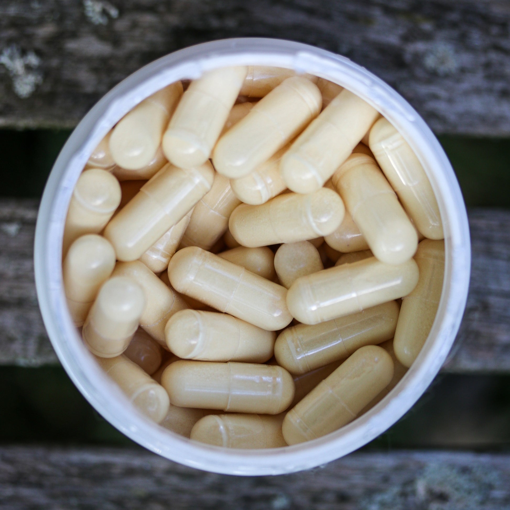 Capsules of powdered omega 3 fish oil by Pawsomely Healthy 