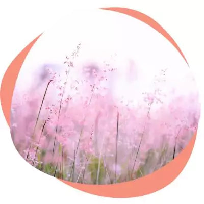 flowers and pollen