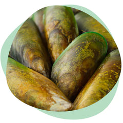 Green Lipped Mussels