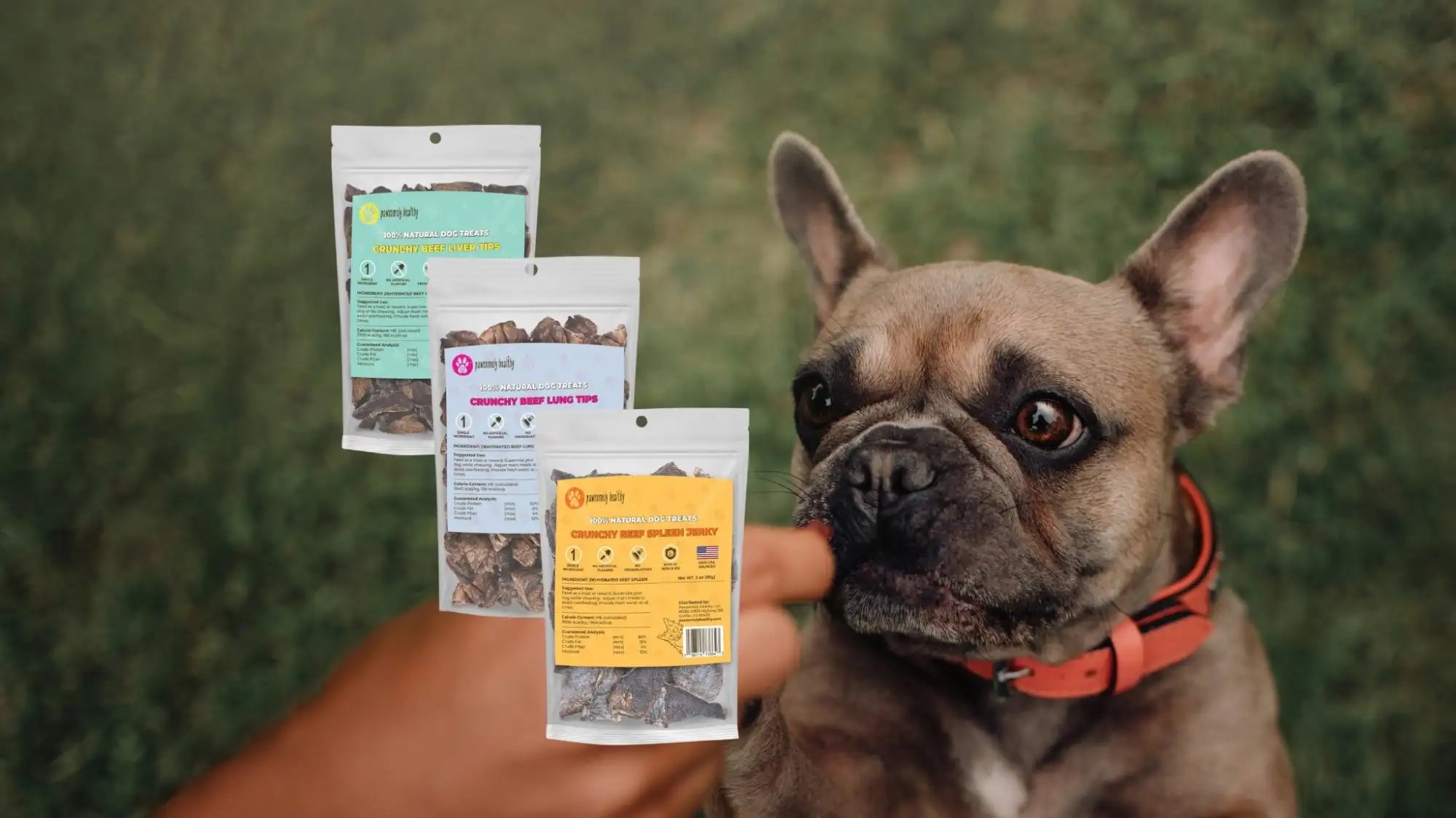 A hand holds three packages of crunchy beef liver treats, each in a clear plastic pouch with colorful labels and an american flag emblem.