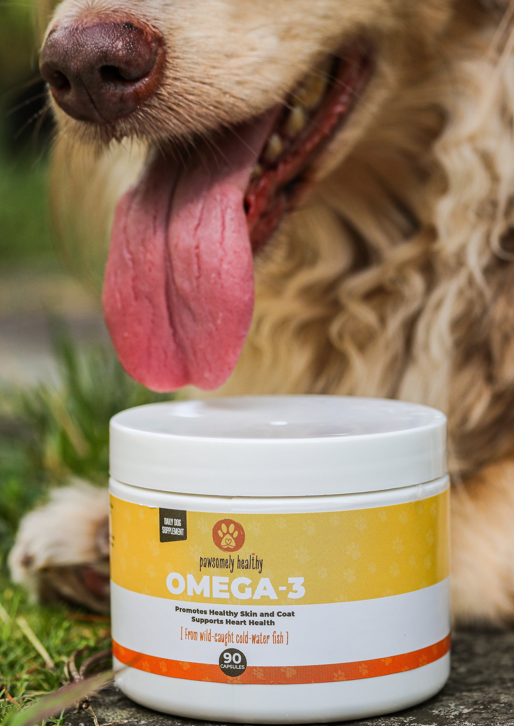 Dog's happy face next to Pawsomely Healthy omega-3 fish oil supplement jar 