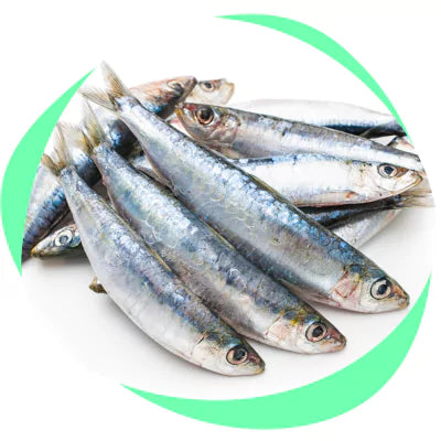 sardines source of omega 3