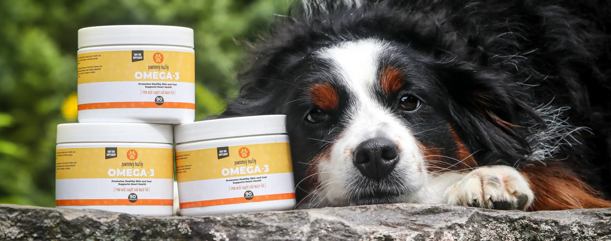 Three white cylindrical containers of petting zoo omega-3 dog supplements, each with a yellow and orange label.