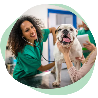 Veterinarian examining a dog